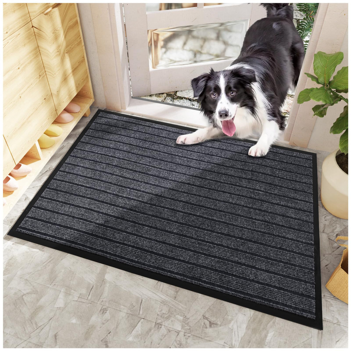 Dog Door Mat